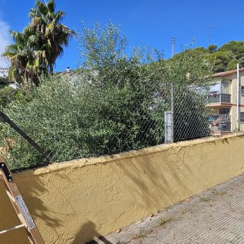 PHOTO-2025-11-13-19-01-03 2