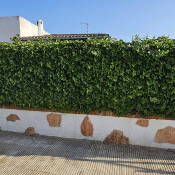 PHOTO-2025-11-13-19-09-14