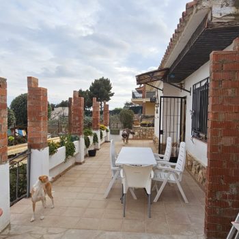 PHOTO-2025-11-13-19-09-17