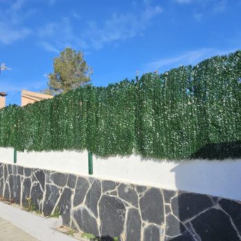 PHOTO-2025-11-13-19-18-13